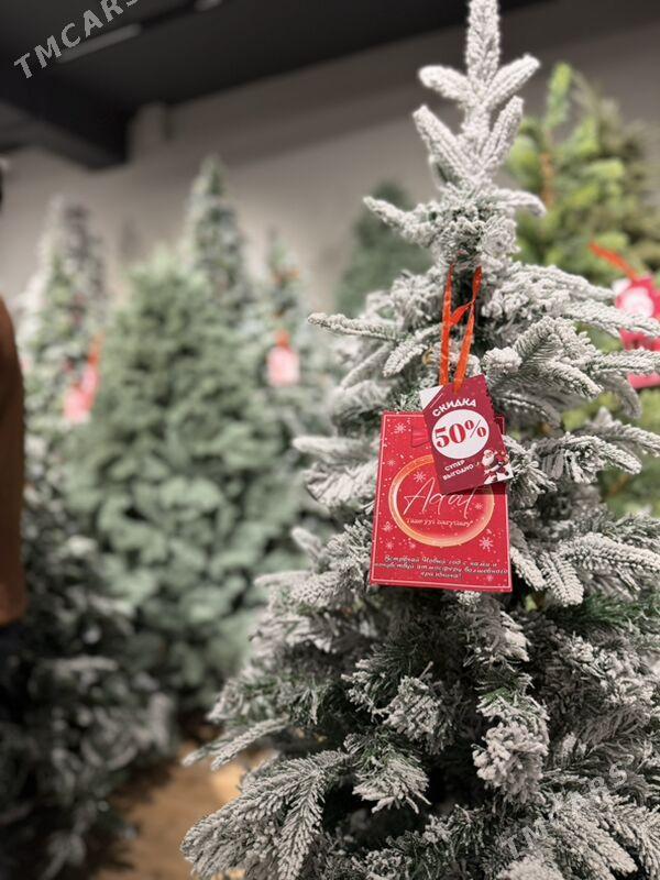 YOLKA ARÇA ЕЛКА - Ашхабад - img 9