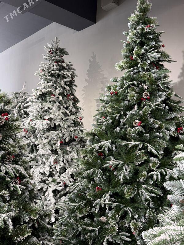 YOLKA ARÇA ЕЛКА - Ашхабад - img 4