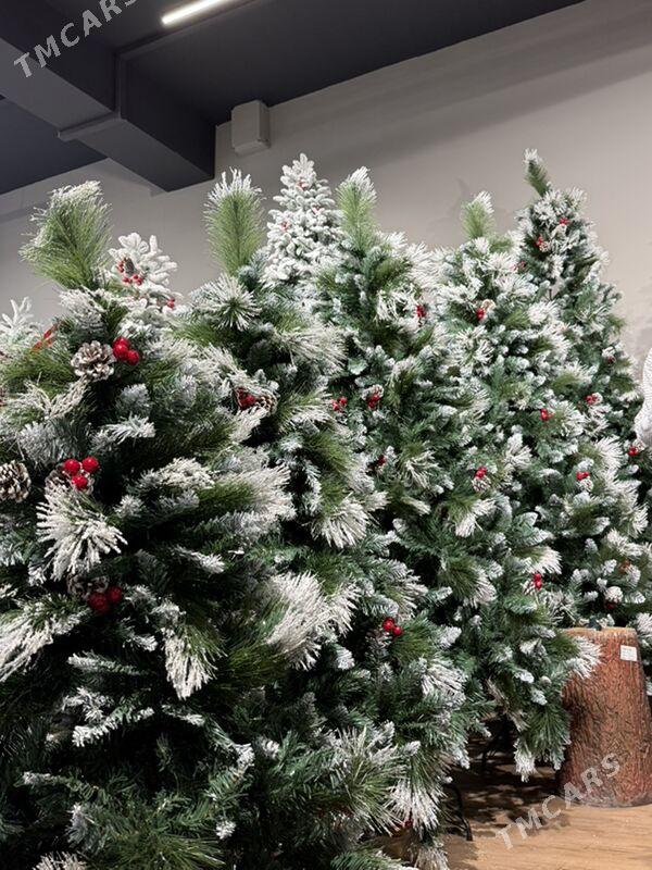 YOLKA ARÇA ЕЛКА - Ашхабад - img 10