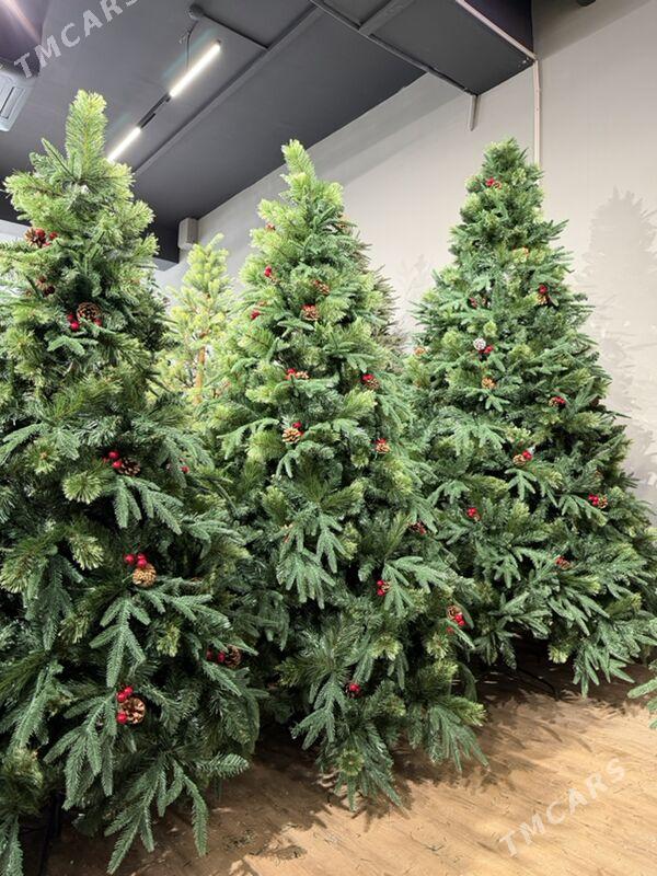 YOLKA ARÇA ЕЛКА - Ашхабад - img 2