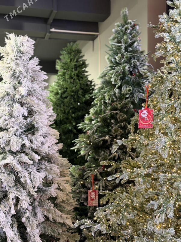 YOLKA ARÇA ЕЛКА - Ашхабад - img 7