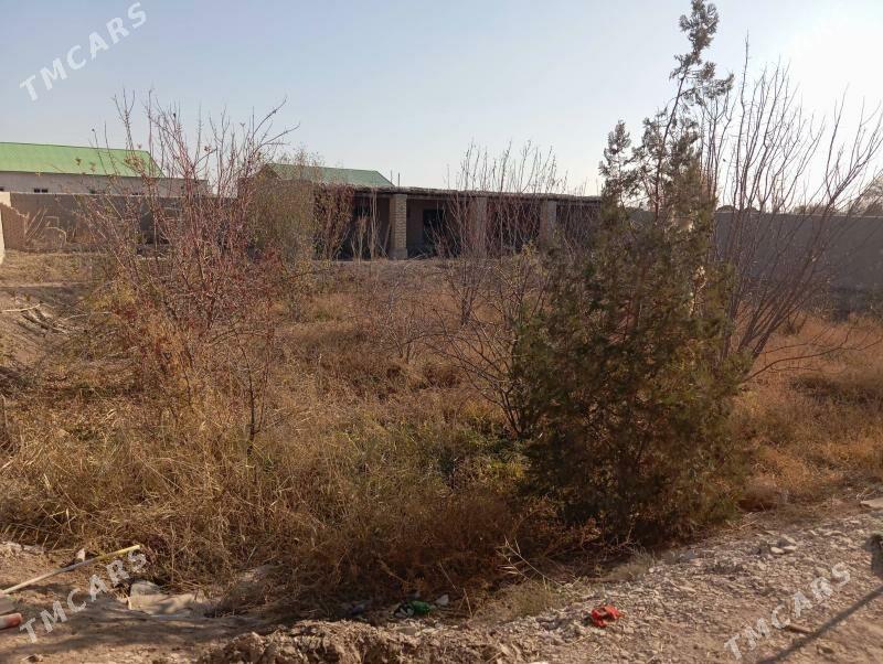 Satlyk jaý - Köneürgenç - img 4