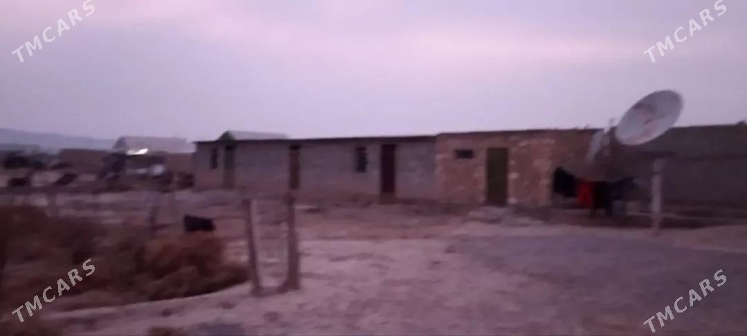 Gyssagly jaý - Gyzylarbat - img 2