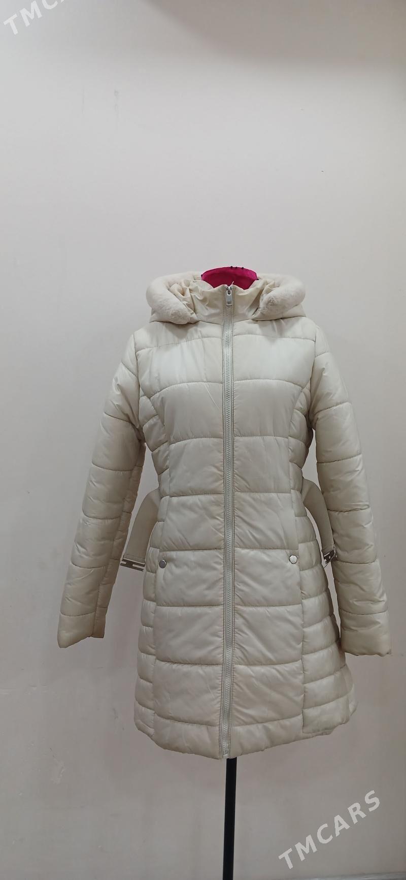 Kurtga - Daşoguz - img 4