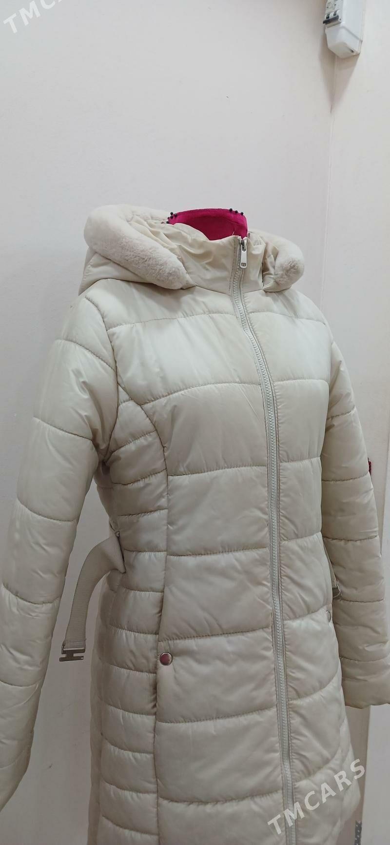 Kurtga - Daşoguz - img 3