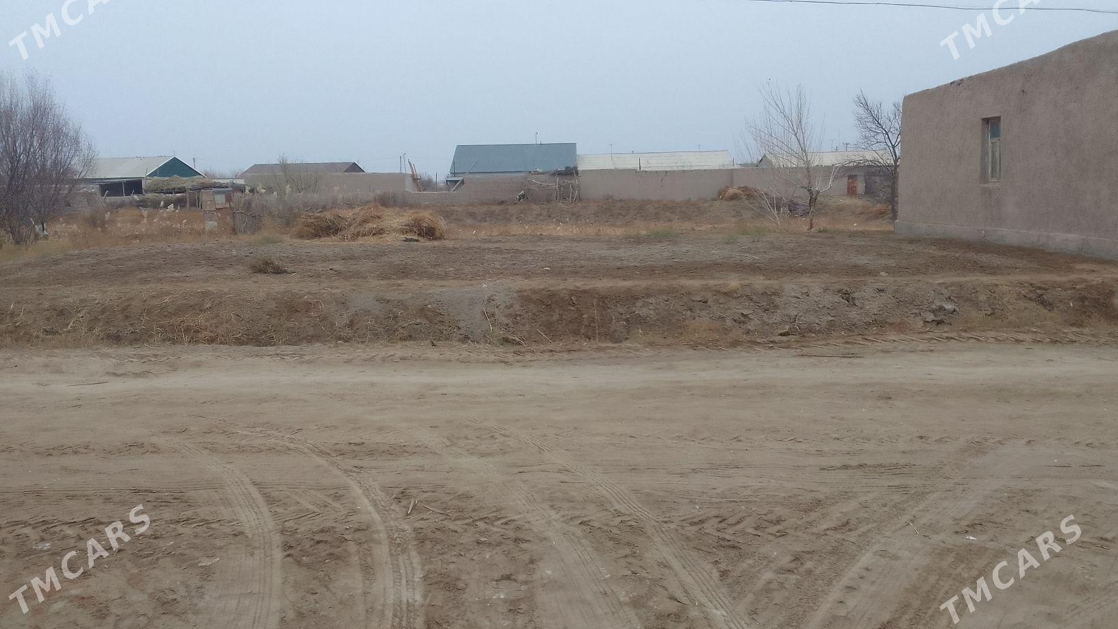 Ucaska - Köneürgenç - img 2