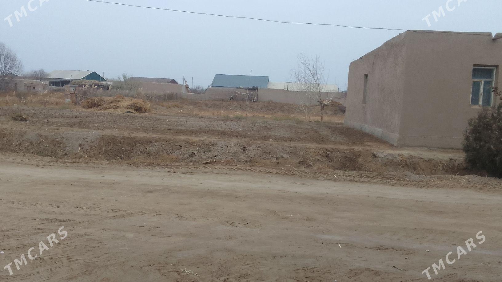 Ucaska - Köneürgenç - img 3