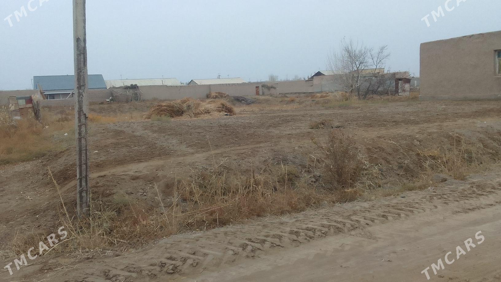 Ucaska - Köneürgenç - img 1