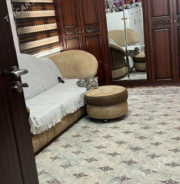 Nagina - Ашхабад - img 2