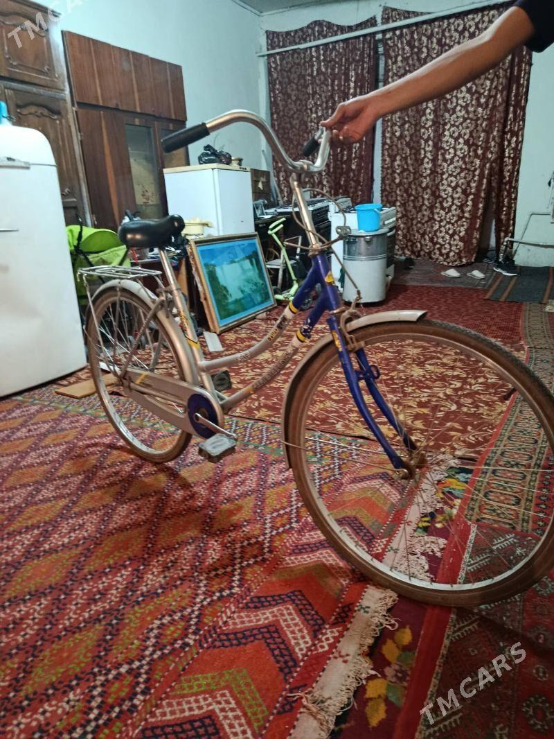 welosepid - Boldumsaz - img 2