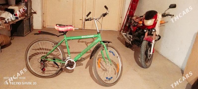 welik - Jebel - img 3