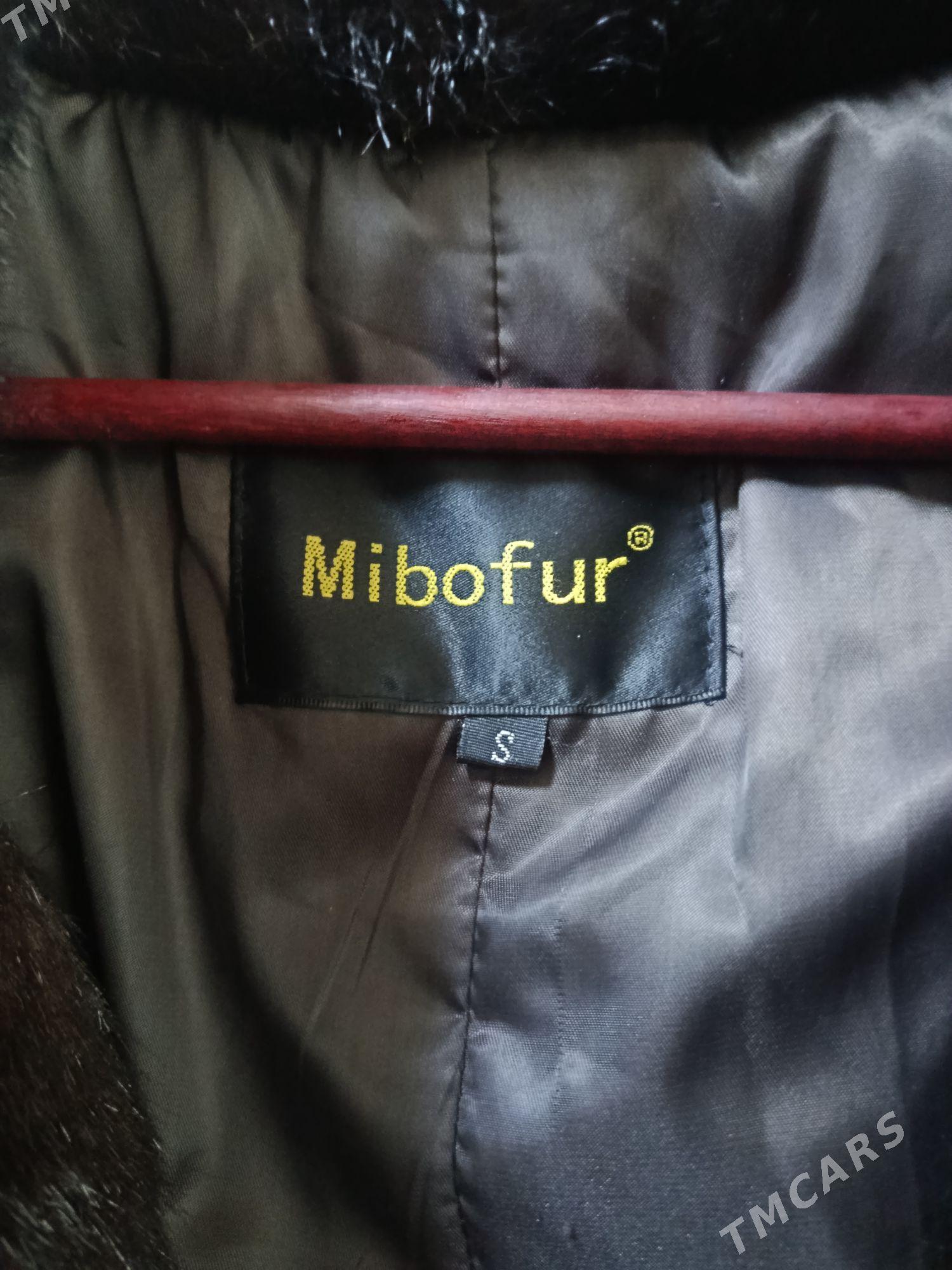 şuba - Änew - img 2