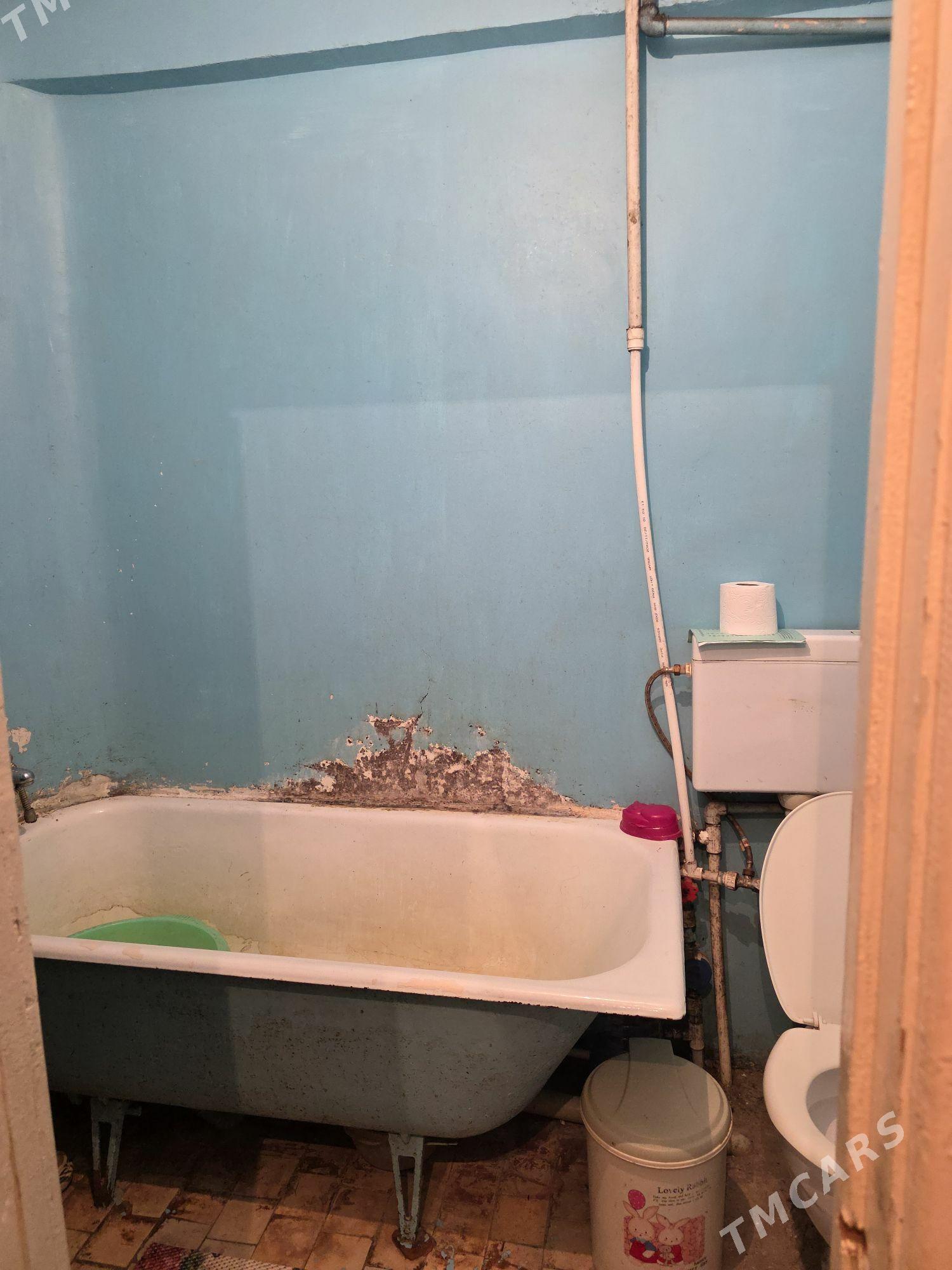 satlyk jay - Türkmenbaşy - img 3