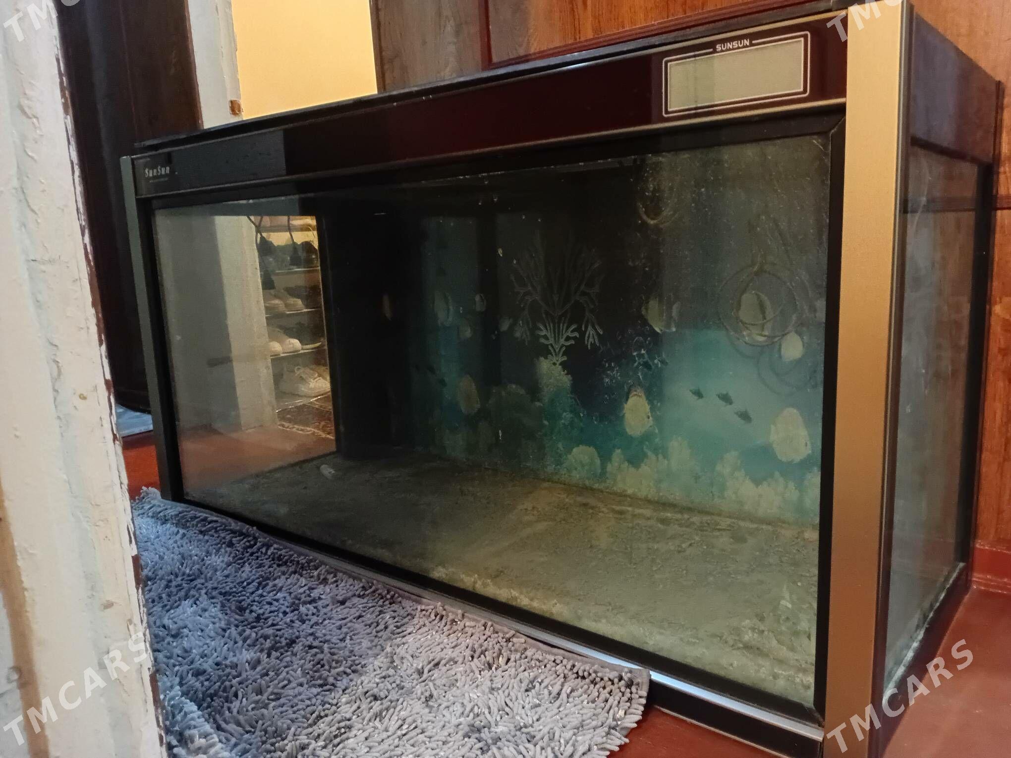 Akwarium - Мир 1 - img 2