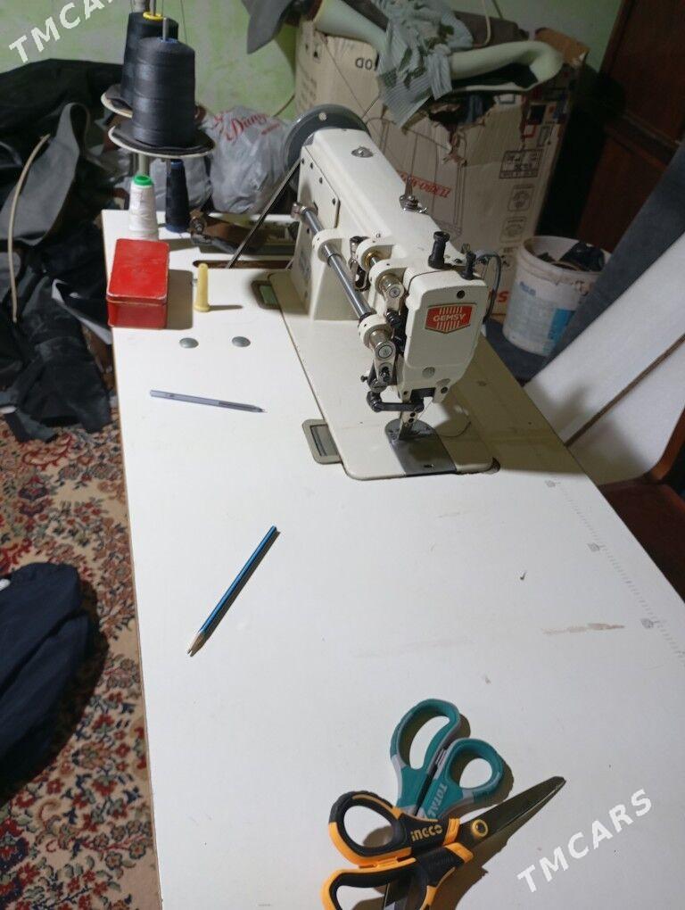 gemsi - Шабатский этрап - img 3