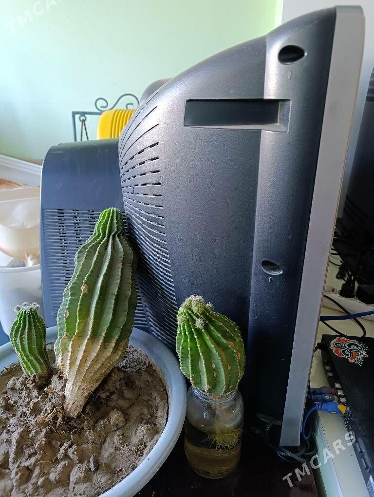 LG telewizor - 5 mkr - img 2