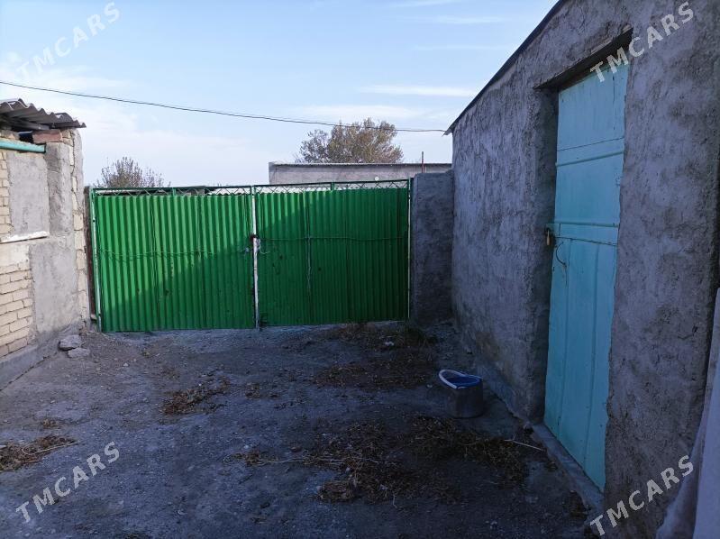 jay - Gyzylarbat - img 10