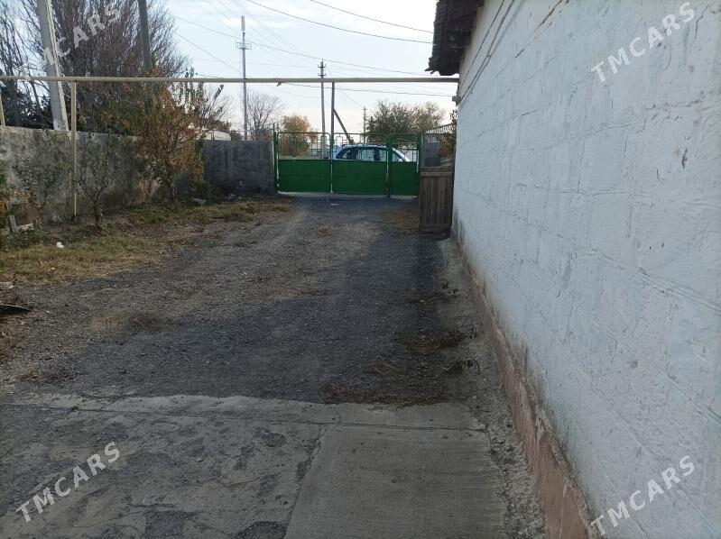 jay - Gyzylarbat - img 9