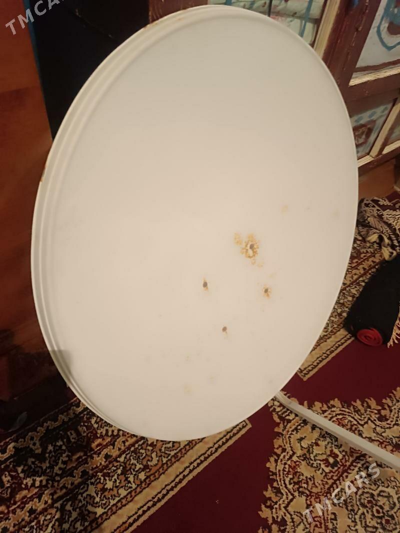 kici anten - Sakarçäge - img 2