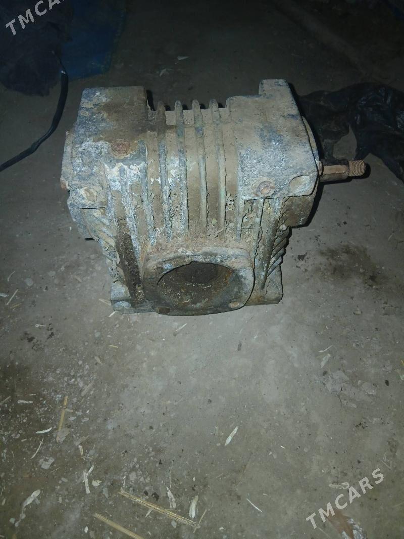 Reduktyr - Boldumsaz - img 5