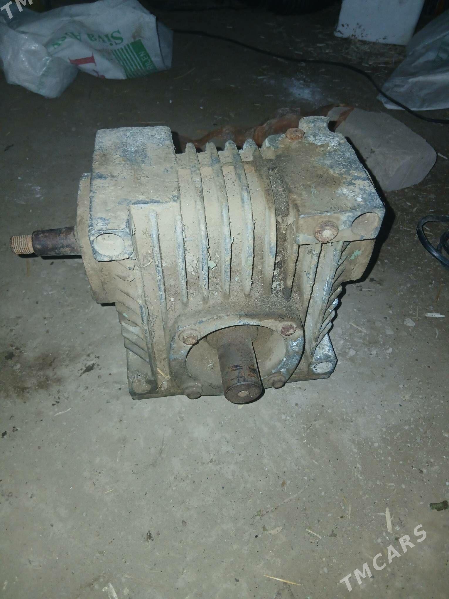 Reduktyr - Boldumsaz - img 3