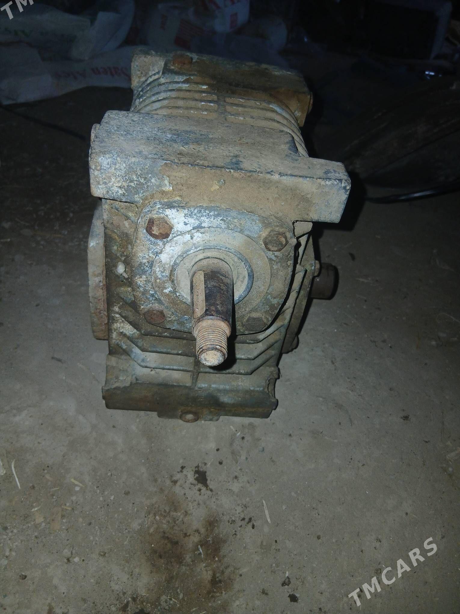 Reduktyr - Boldumsaz - img 4