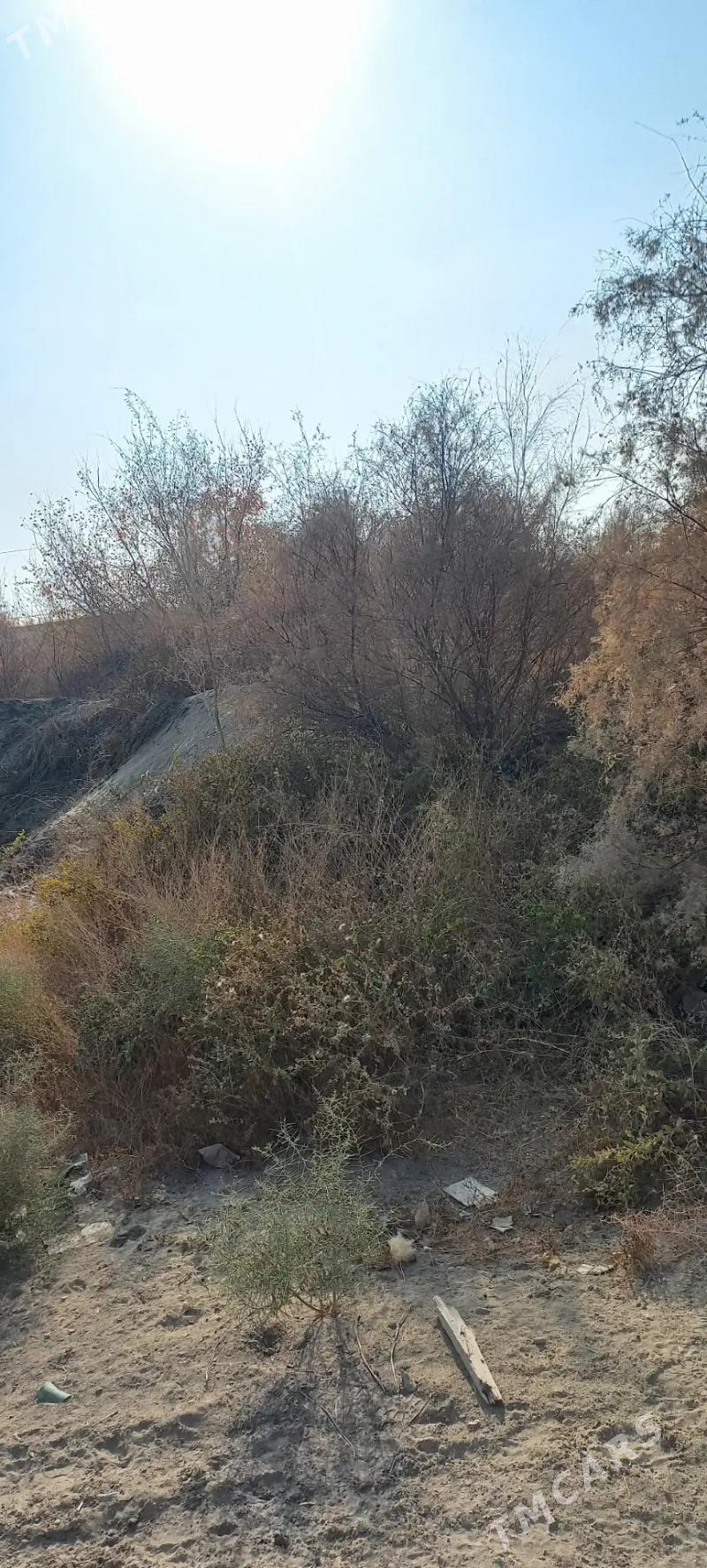 сатлык меллек - Türkmenabat - img 5