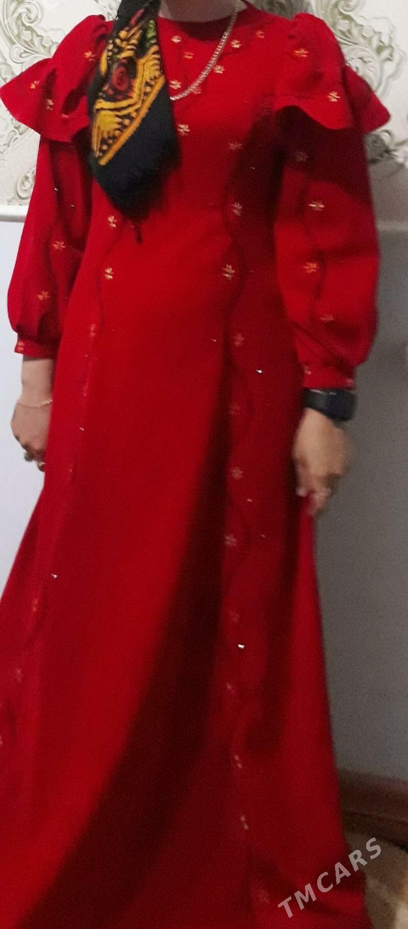 barhat yiti gyzyl - Sakarçäge - img 2