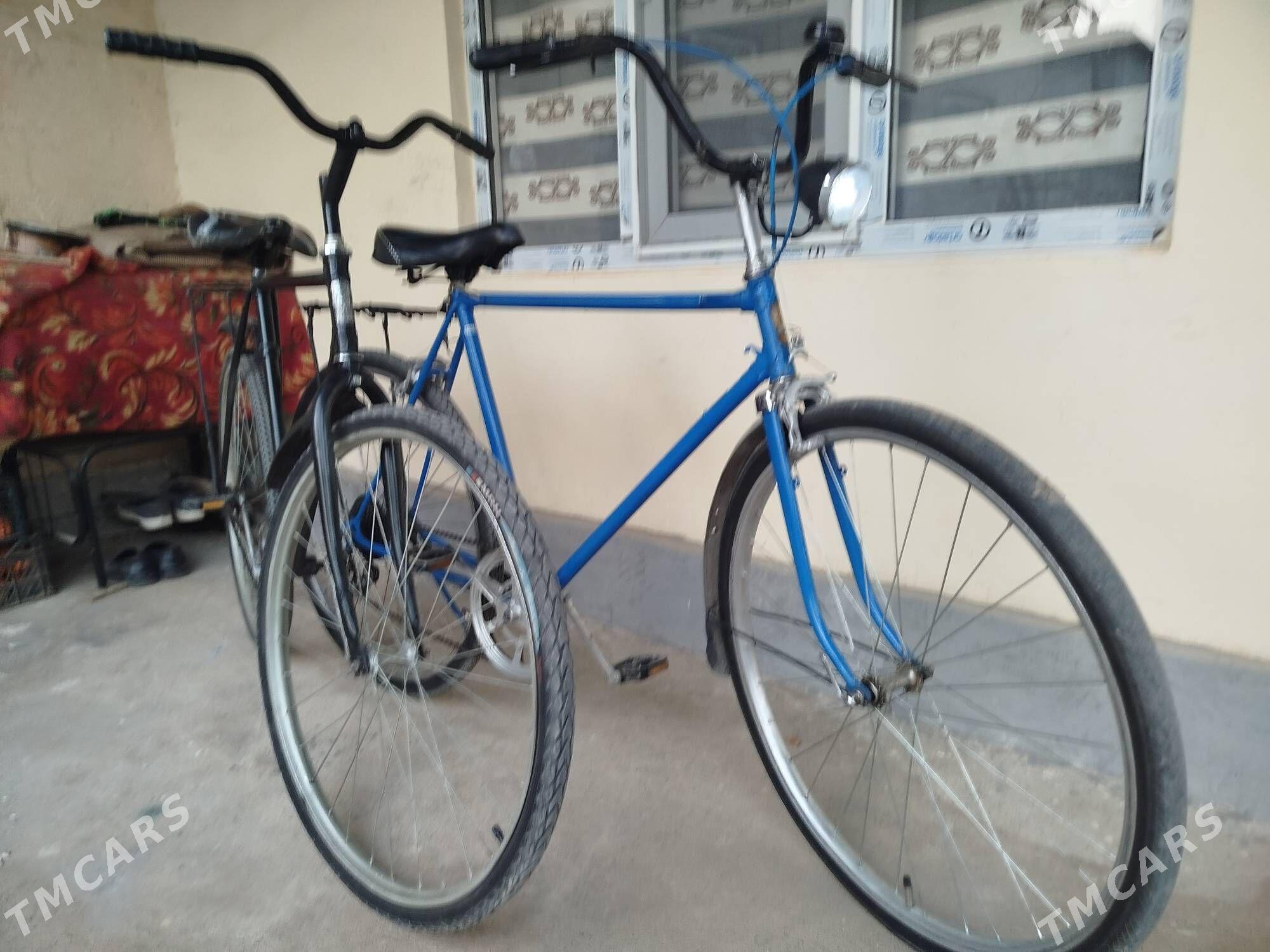 28 lik tigirler - Bekrewe - img 3