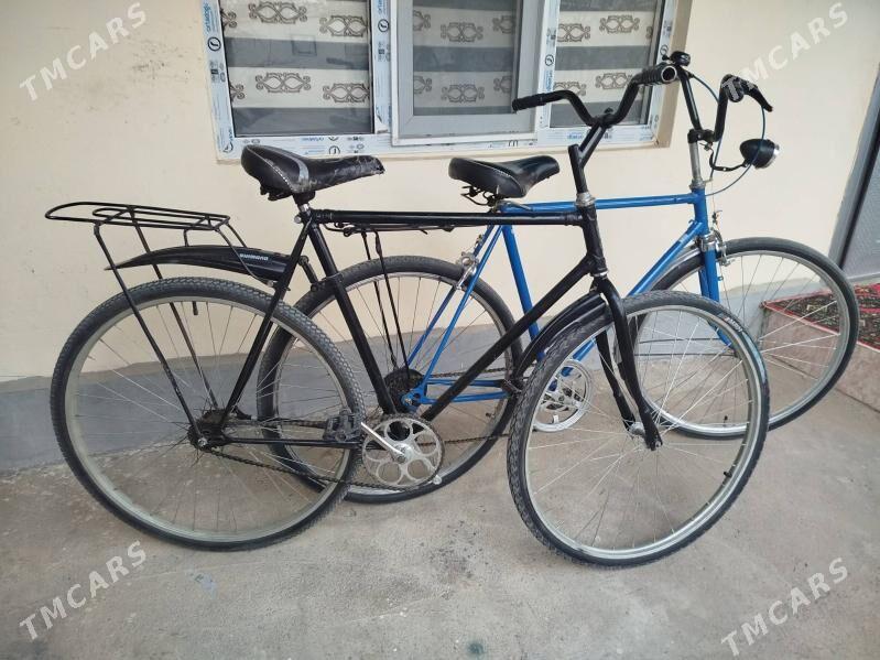 28 lik tigirler - Bekrewe - img 2