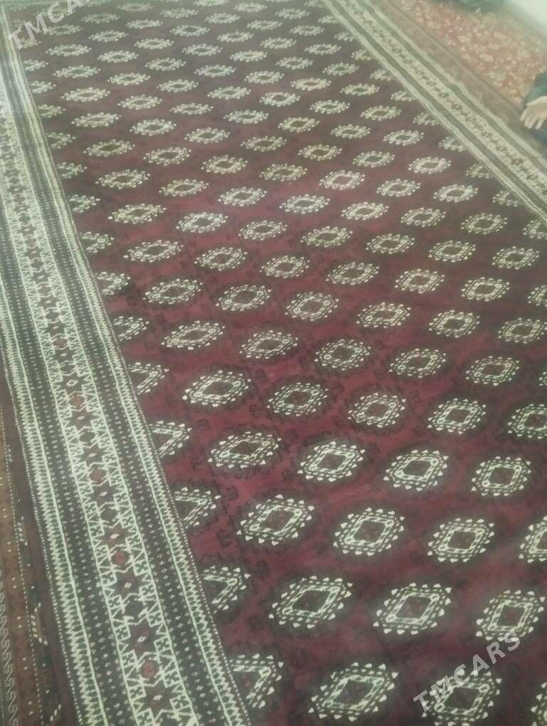 haly - Balkanabat - img 2