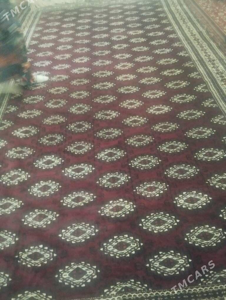 haly - Balkanabat - img 3