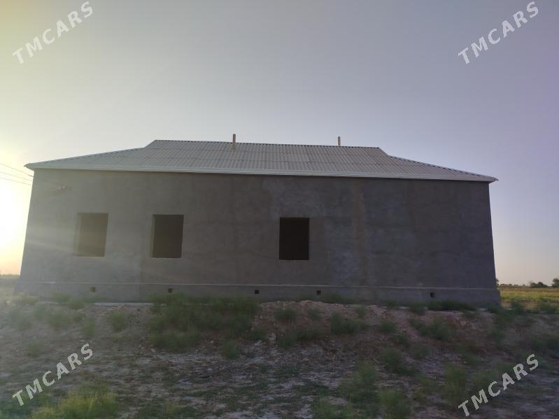 T-gala Jaý satlyk - Туркменгала - img 6