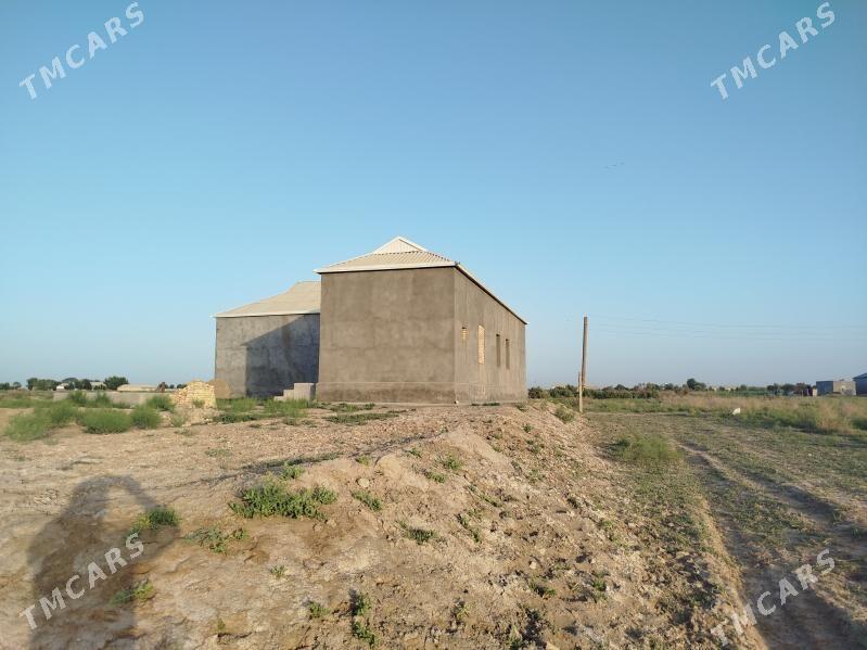 T-gala Jaý satlyk - Туркменгала - img 8