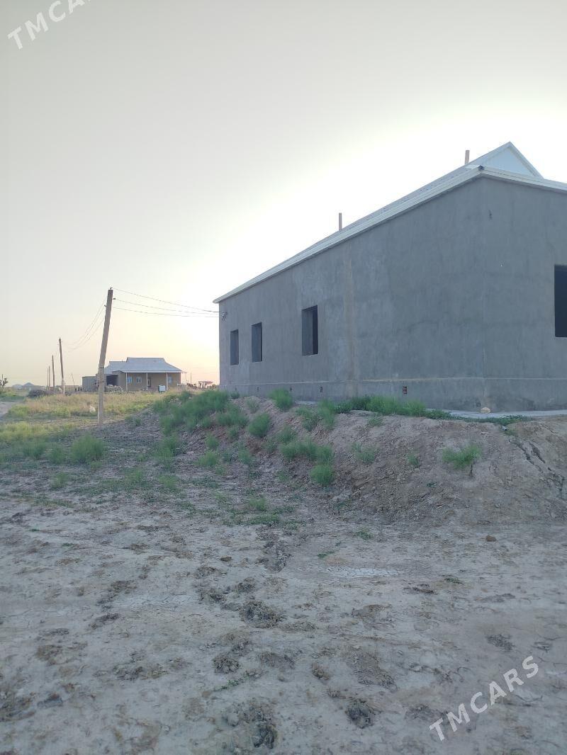 T-gala Jaý satlyk - Туркменгала - img 2