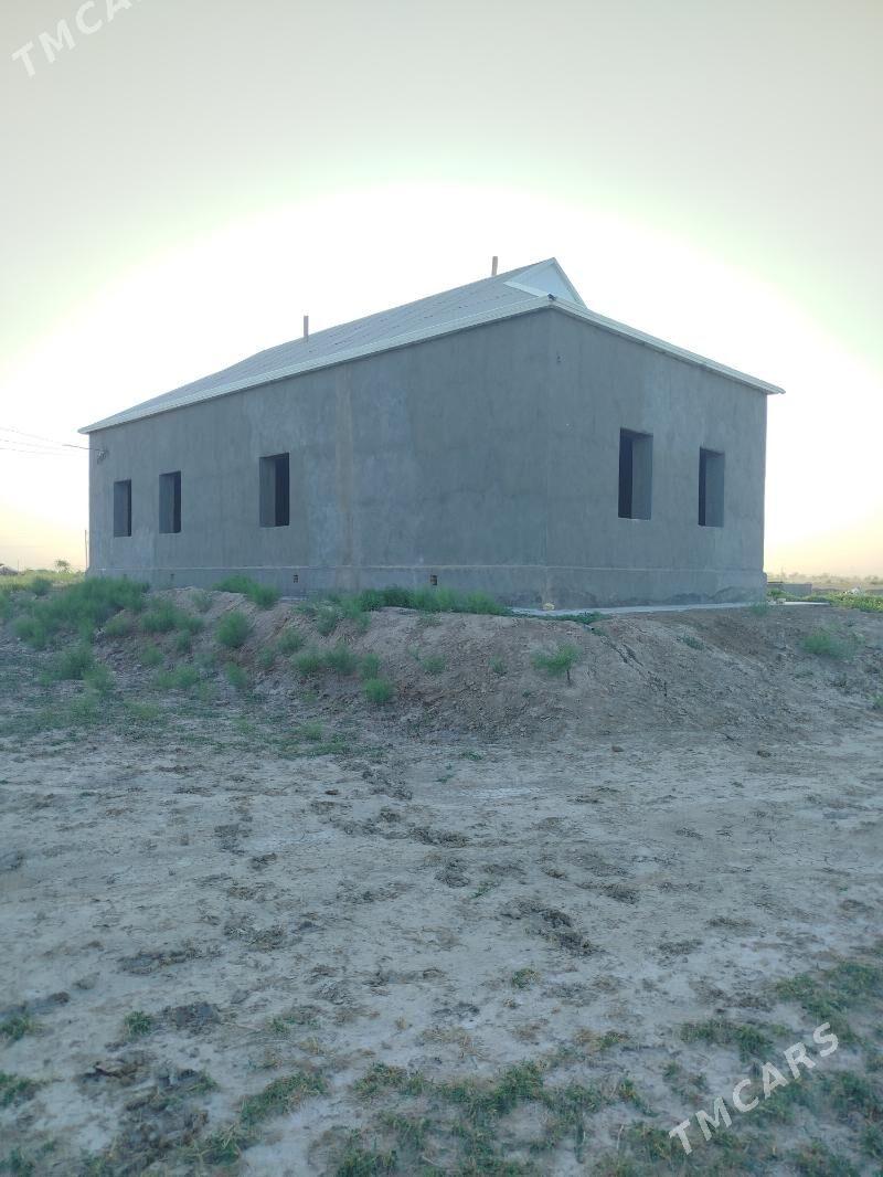 T-gala Jaý satlyk - Туркменгала - img 7