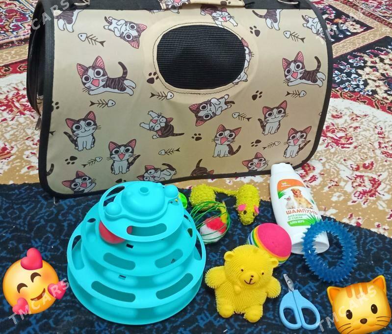 ÖŸ PİŞİGİ - Parahat 4 - img 2