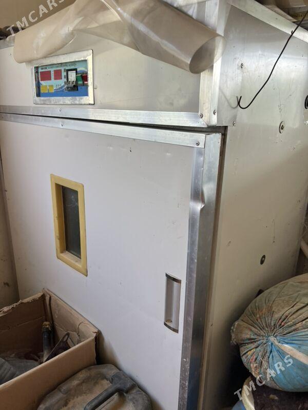 ИНКУБАТОР - Aşgabat - img 2