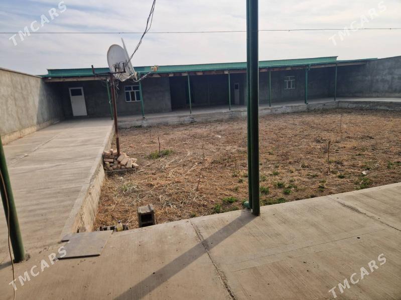 saylyk jay - Кёнеургенч - img 4