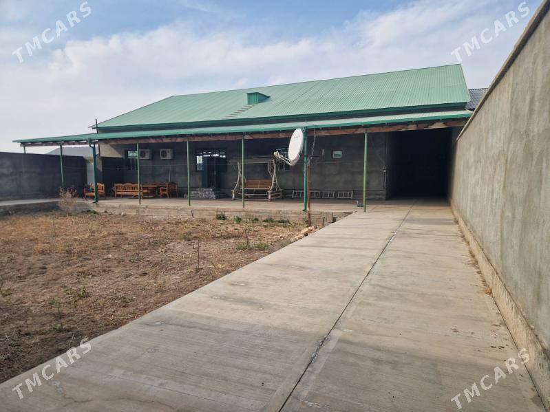 saylyk jay - Кёнеургенч - img 3