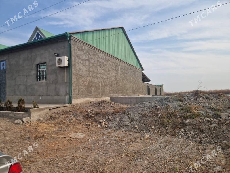 saylyk jay - Кёнеургенч - img 2