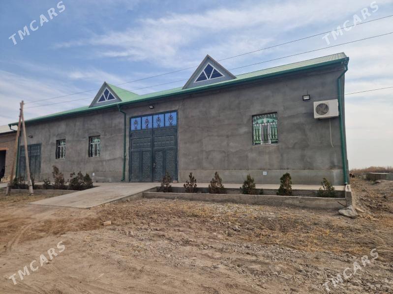 saylyk jay - Кёнеургенч - img 1