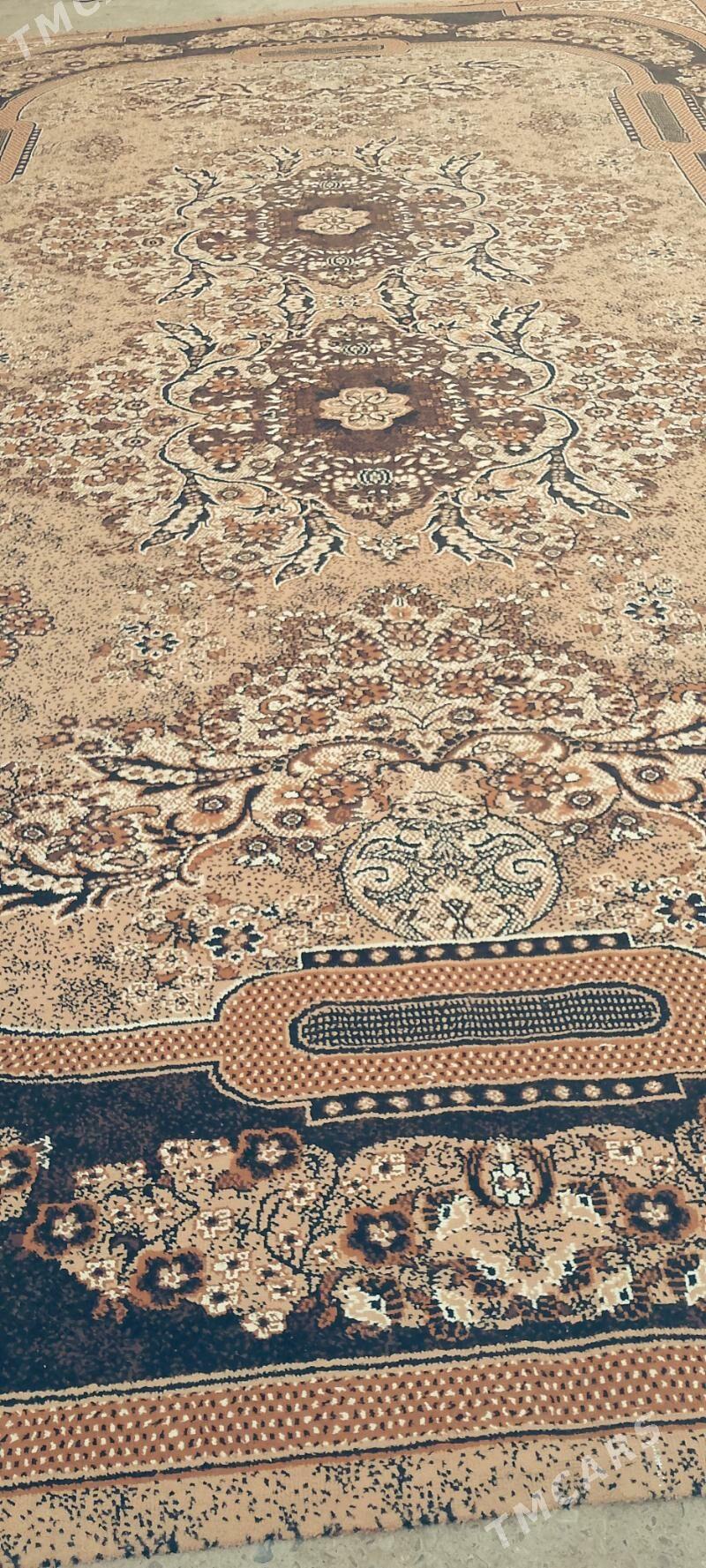 haly - Aşgabat - img 2