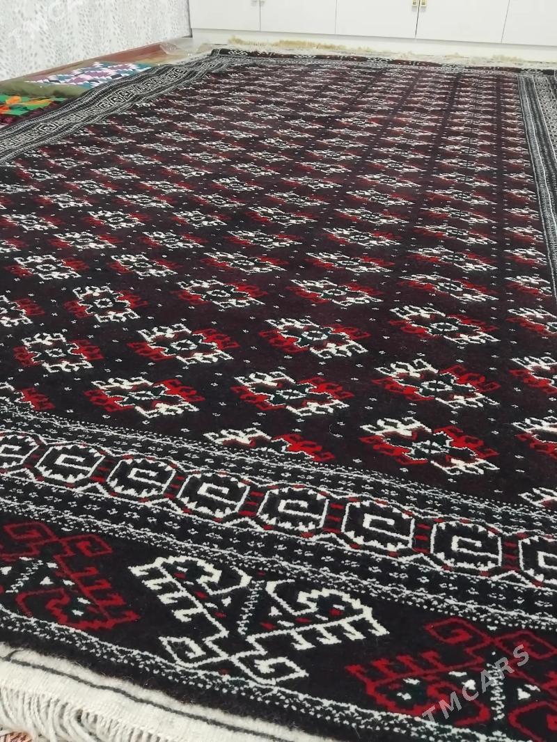 gol haly - Balkanabat - img 2