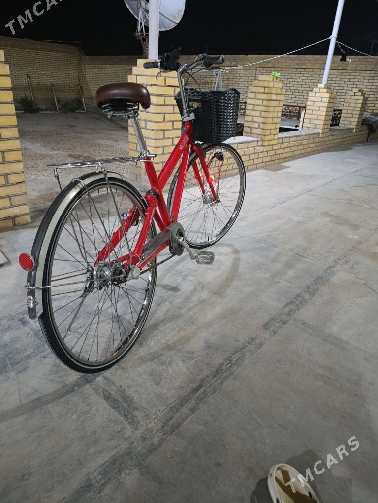 Tigir 27 - Mary - img 3