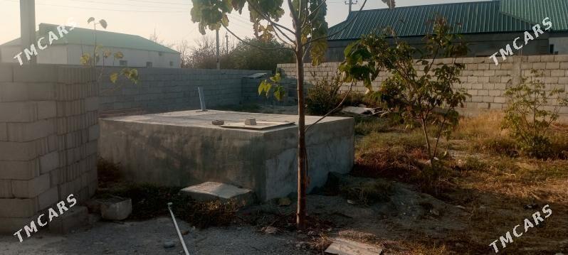 jay - Ýaşlyk - img 3