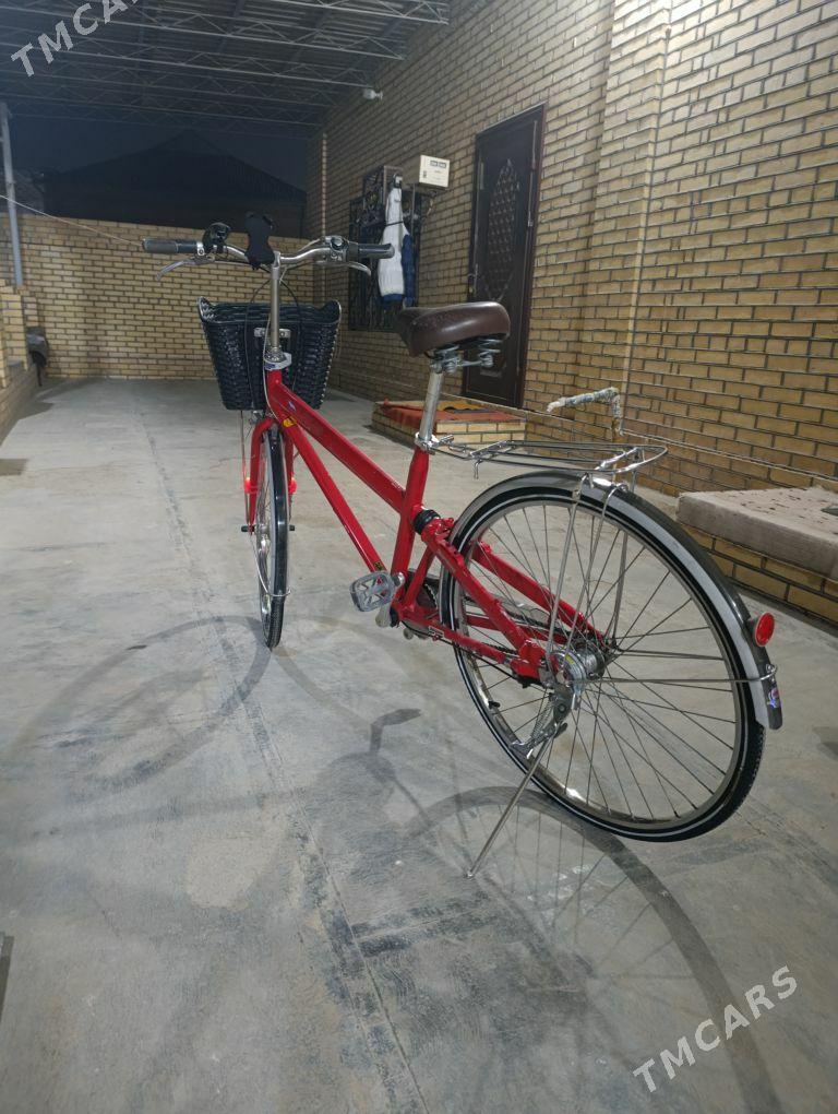 Tigir 27 - Mary - img 5