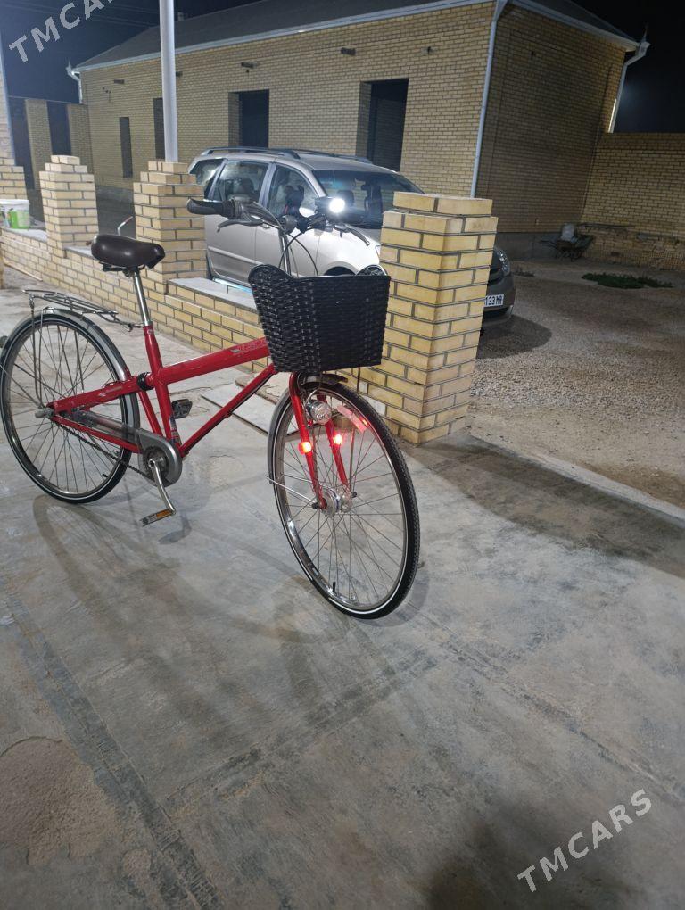 Tigir 27 - Mary - img 6