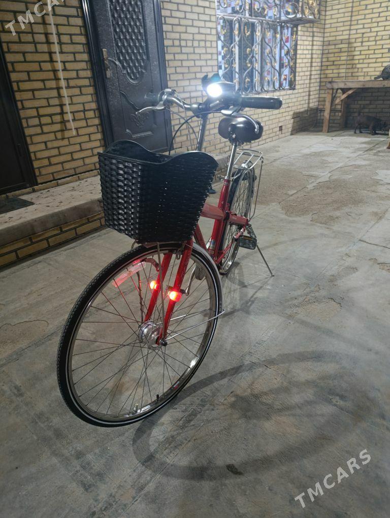 Tigir 27 - Mary - img 2