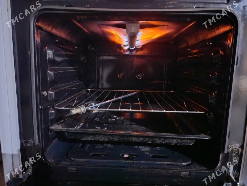 gazpilite - Mary - img 2